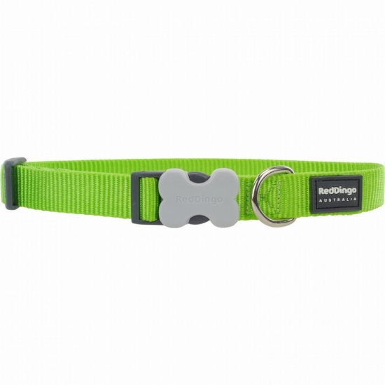 Classic Lime Green Dog Collar