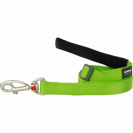 Classic Lime Green Dog Leash