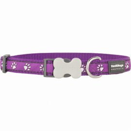 Desert Paws Purple Dog Collar