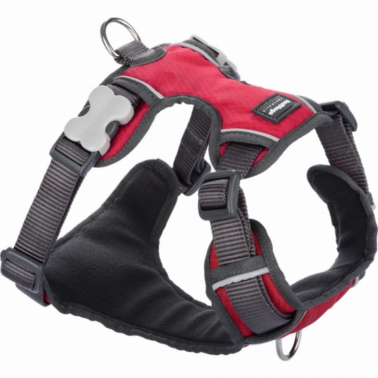 Red Dingo Padded Harness - Red