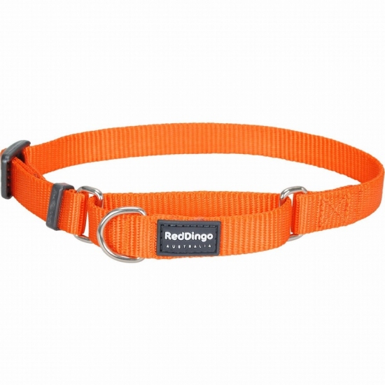 Classic Orange Martingale