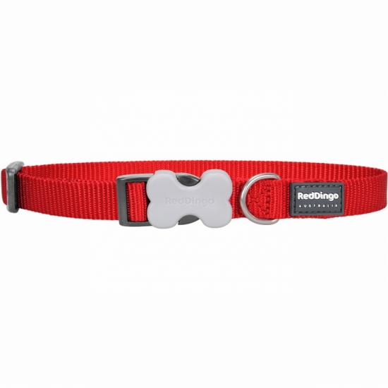 Classic Red Dog Collar